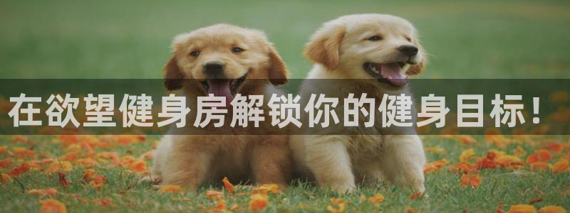 尊龙凯时官方网站